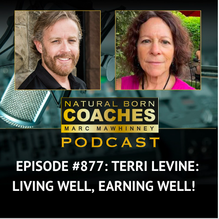 Episode #877: Terri Levine: Live Well, Earn Well!