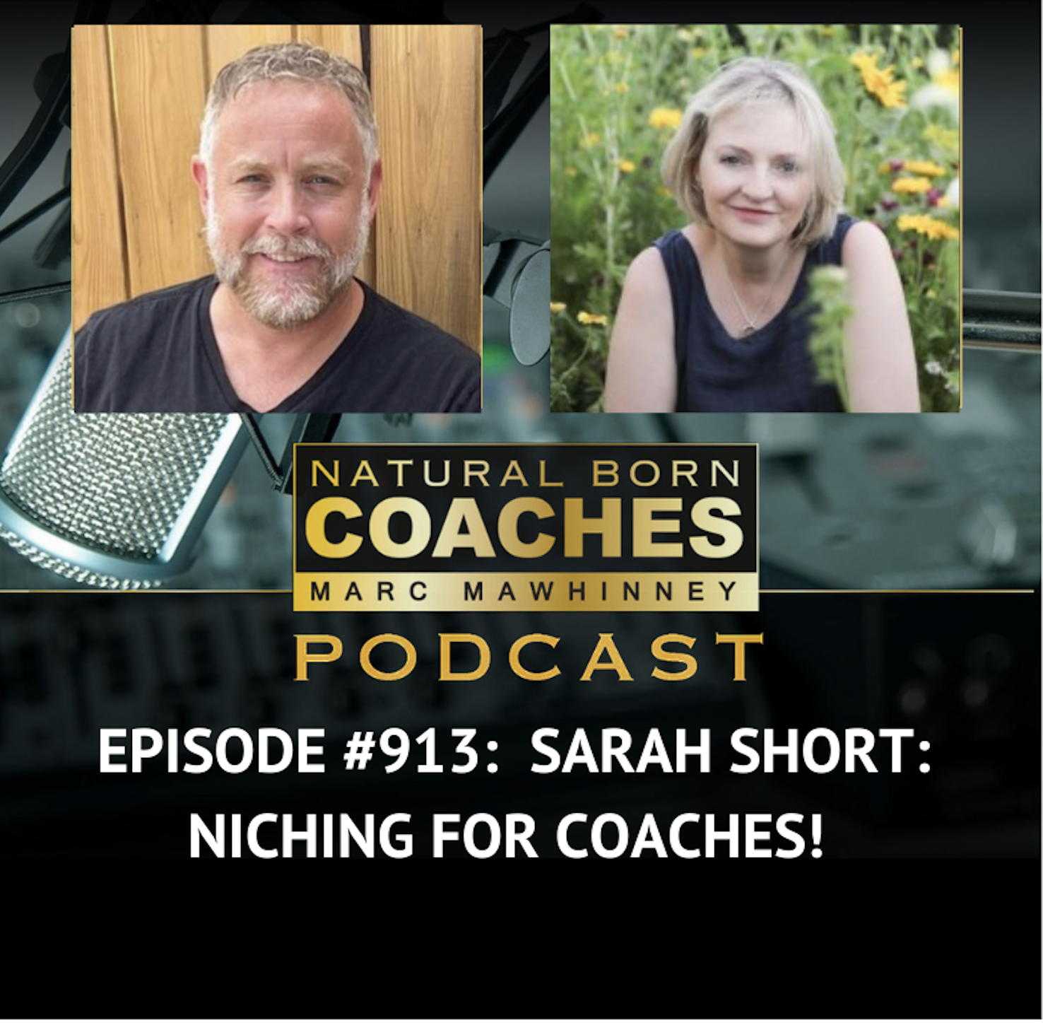 Episode #913: Sarah Short: Niching For Coaches!